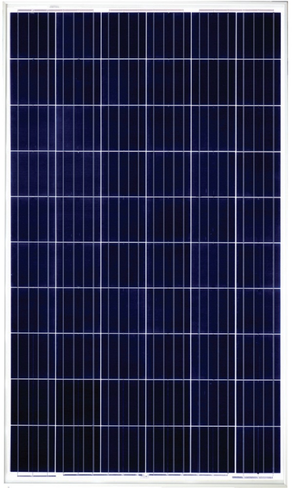 پنل خورشیدی 270 وات یینگلی سولار
